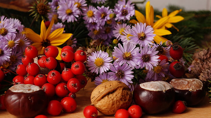 composition-plants-flowers-fruit-preview